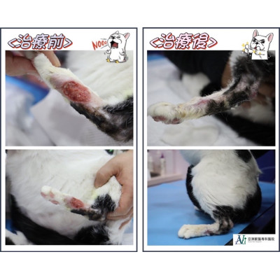 案例分享((頑強的傷口終於癒合起來啦)) 案例分享((頑強的傷口終於癒合起來啦))