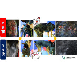 一步一個血腳印...你是在拍鬼片嗎? 一步一個血腳印...你是在拍鬼片嗎?