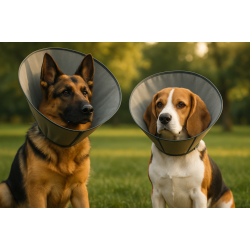 11/26 【居家衛教】狗狗一直抓?狗狗膿皮症治療與居家護理全攻略(含藥浴教學) 11/26 【居家衛教】狗狗一直抓?狗狗膿皮症治療與居家護理全攻略(含藥浴教學)