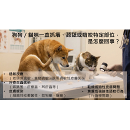 12/9 【獸醫來解惑】毛孩抓到懷疑狗生?寵物皮膚科醫師的大哉問與解答集! 12/9 【獸醫來解惑】毛孩抓到懷疑狗生?寵物皮膚科醫師的大哉問與解答集!