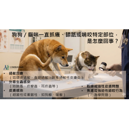 12/9 【獸醫來解惑】毛孩抓到懷疑狗生?寵物皮膚科醫師的大哉問與解答集! 12/9 【獸醫來解惑】毛孩抓到懷疑狗生?寵物皮膚科醫師的大哉問與解答集!