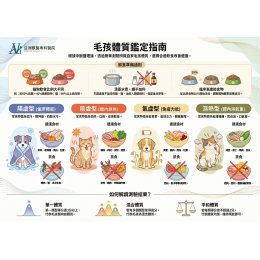 12/19 【冬至暖寵攻略】中獸醫傳授「食療秘方」與主子體質自行檢測 『強腎護關節篇』