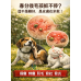 3/19 「換季大魔王來了！春分保養沒做對，皮膚問題跟著累！毛孩家長必看的避坑指南。」