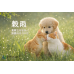 4/17 獸醫沒告訴您的事：穀雨後毛孩狂抓狂咬，背後其實是“它”在搞鬼