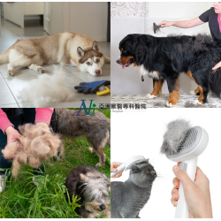 4/22 毛孩換毛季來了——別再哭著掃地了! 皮膚科與中獸醫雙視角不藏私提醒 4/22 毛孩換毛季來了——別再哭著掃地了! 皮膚科與中獸醫雙視角不藏私提醒